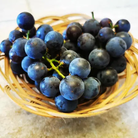 Tatil Evi Orseg Kincse Kis - 4 Fore Hegyhátszentjakab