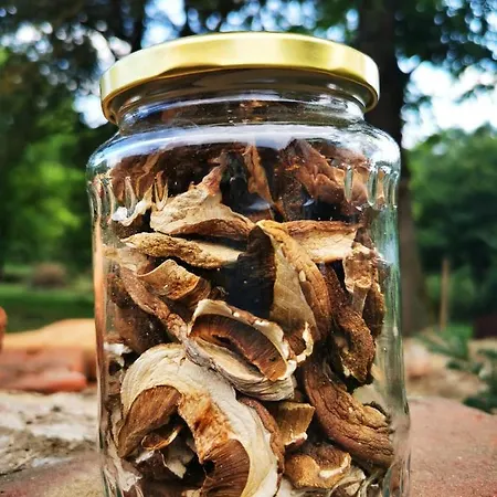 Tatil Evi Orseg Kincse Kis - 4 Fore