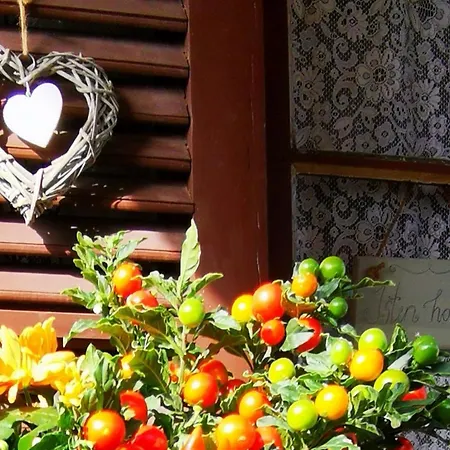 Tatil Evi Orseg Kincse Kis - 4 Fore *