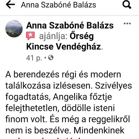 Orseg Kincse Kis - 4 Fore Tatil Evi